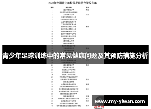青少年足球训练中的常见健康问题及其预防措施分析
