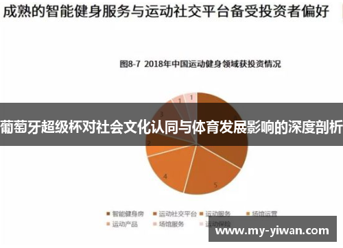葡萄牙超级杯对社会文化认同与体育发展影响的深度剖析
