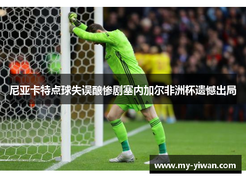 尼亚卡特点球失误酿惨剧塞内加尔非洲杯遗憾出局