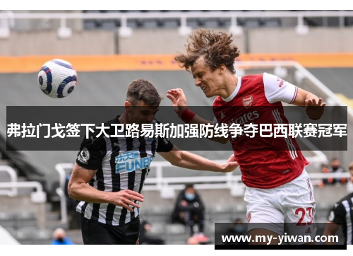 弗拉门戈签下大卫路易斯加强防线争夺巴西联赛冠军 弗拉门戈签下大卫路易斯加强防线争夺巴西联赛冠军